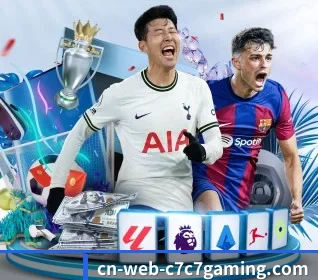 五大服务分区,信息按项目分类 - C7