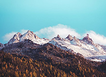 C7入口-错失打破僵局良机！梅西右脚射门被扑，贝尔特拉梅包抄被解围